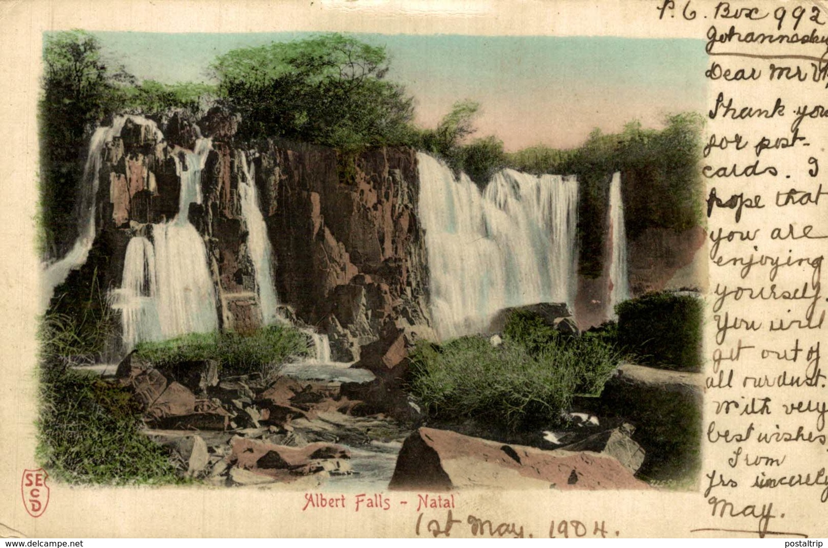 1901  ALBERT FALLS NATAL  South Africa  AFRIQUE DU SUD SUDAFRICA - Sudáfrica