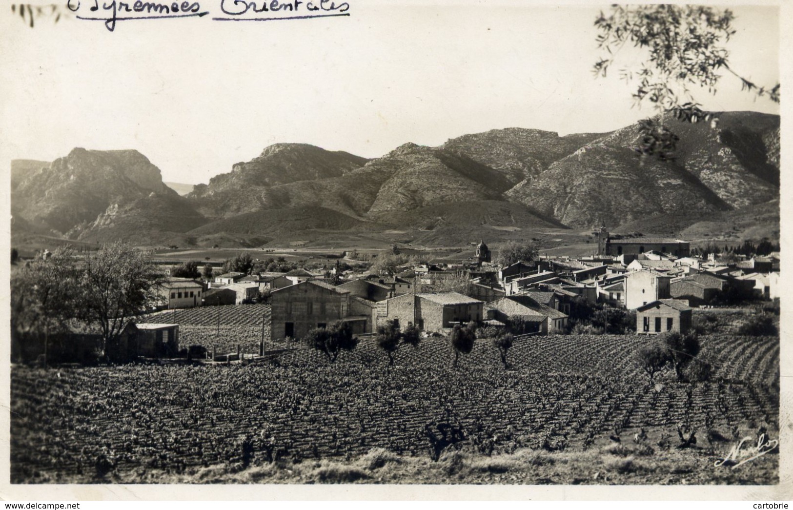 66 SAINT-PAUL-DE-FENOUILLET - Vue Générale - CPSM - Autres & Non Classés