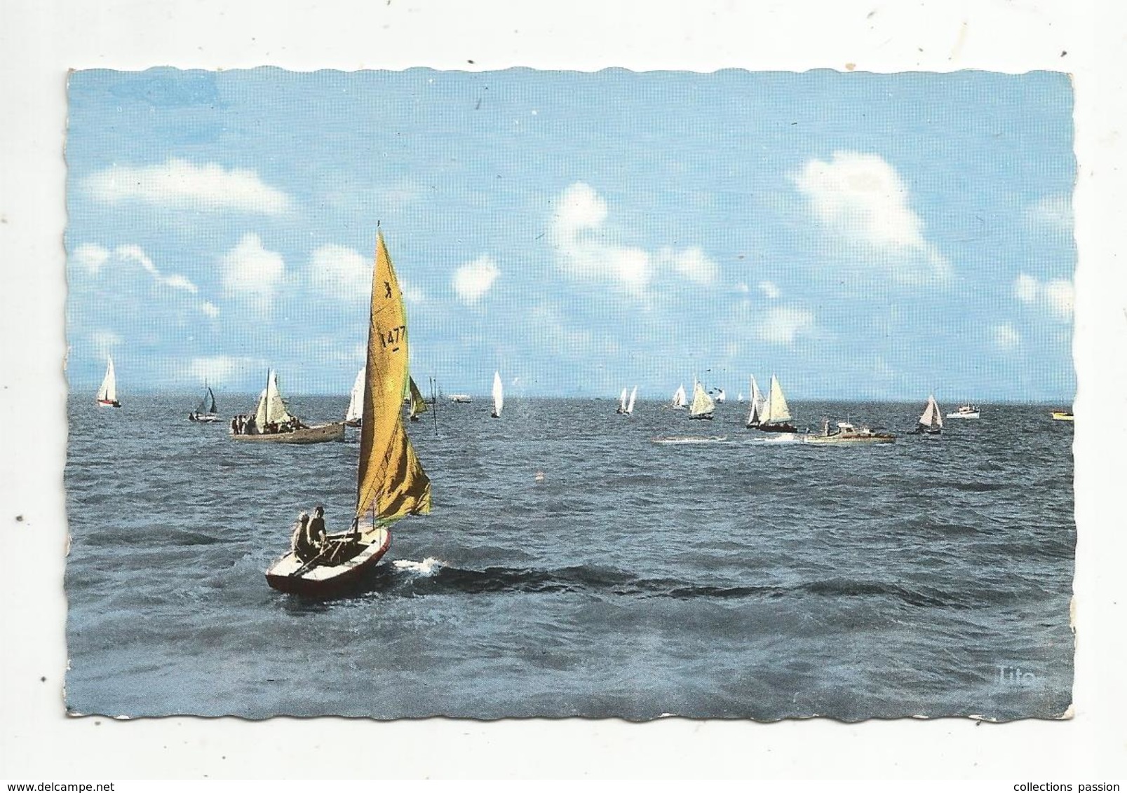 Cp , Sports ,VOILE , 17 , RONCE LES BAINS , Régates Devant Le Front De Mer , Voyagée 1965, Ed. Berjaud - Sailing