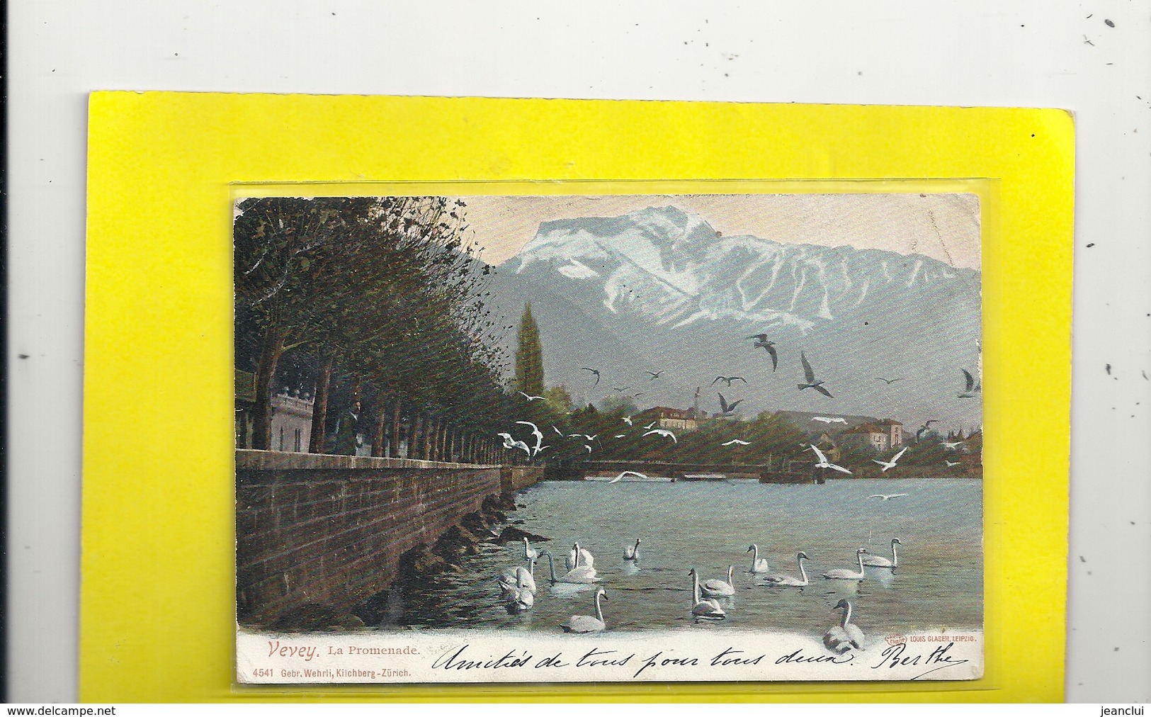 VEVEY - LA PROMENADE + NOMBREUX CYGNES . OBLIT " VEVEY-GARE " Du 6 VIII 1904 . 2 SCANES - Vevey