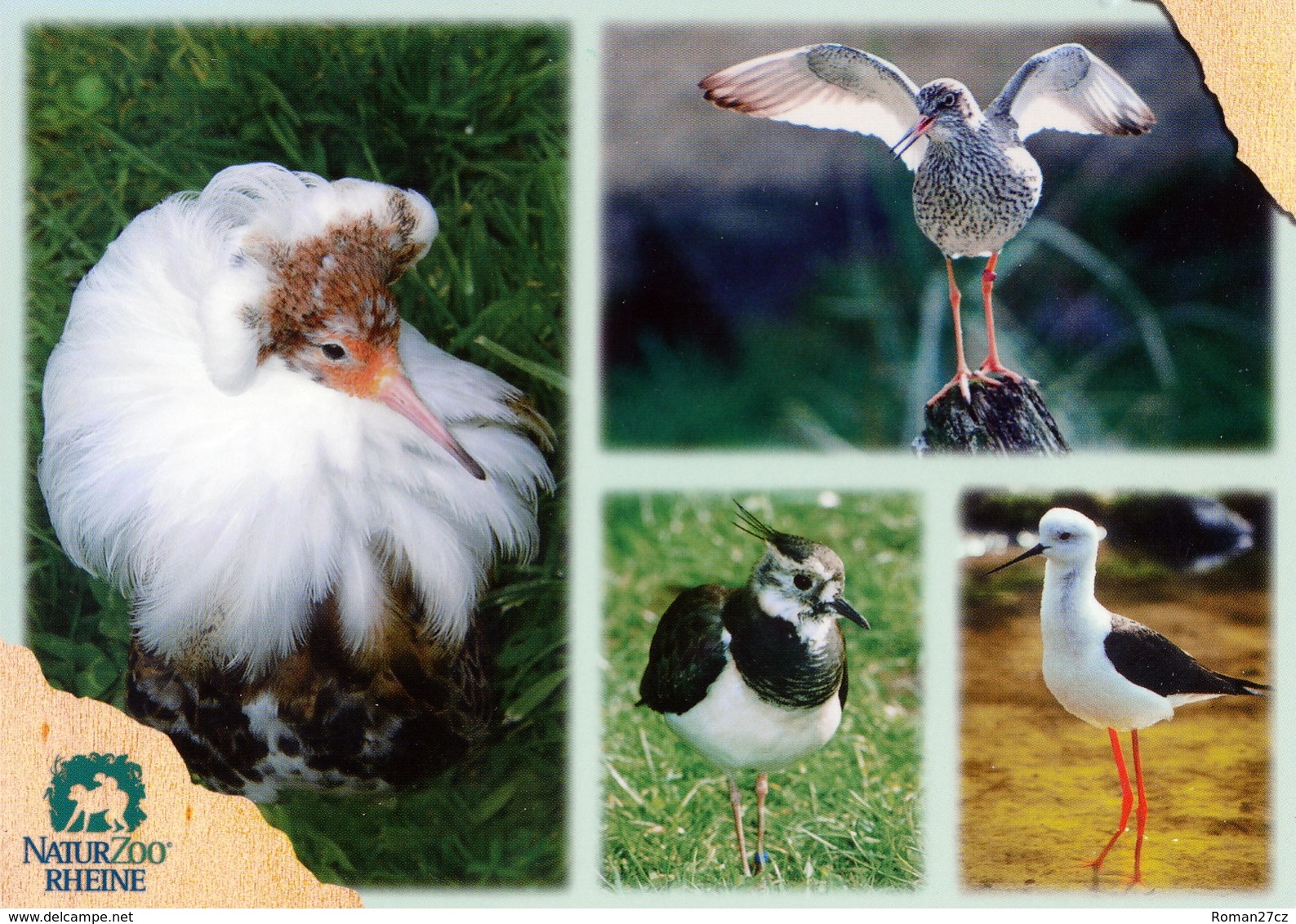 NaturZoo Rheine, Germany - Birds - Rheine