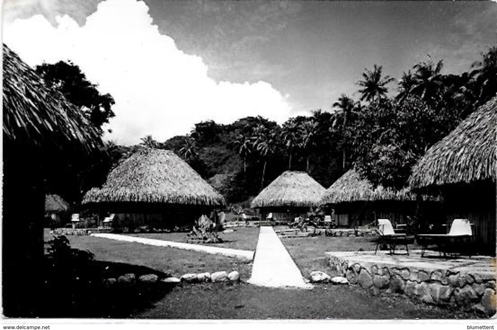 CPSM TAHITI Carte Photo Voir Scan Du Dos Non Circulé - Tahiti