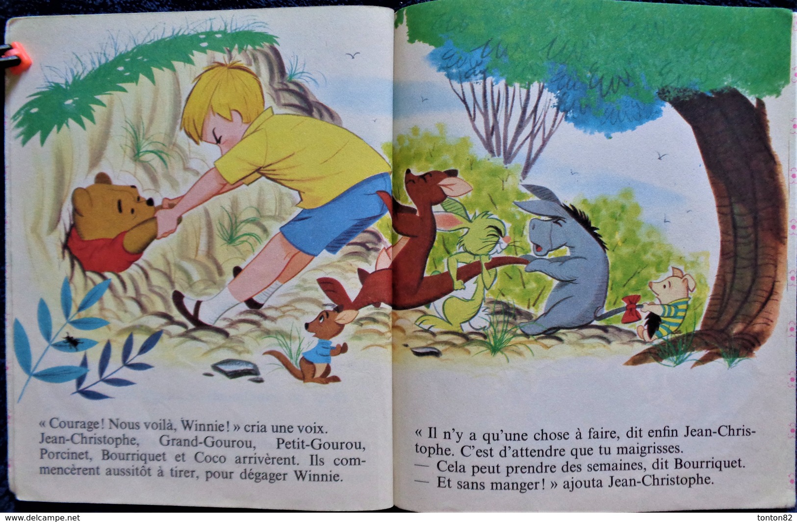 Walt Disney - Winnie L'Ourson N'a Pas De Chance - Les Albums Roses - Hachette - ( 1980 ) . - Other & Unclassified