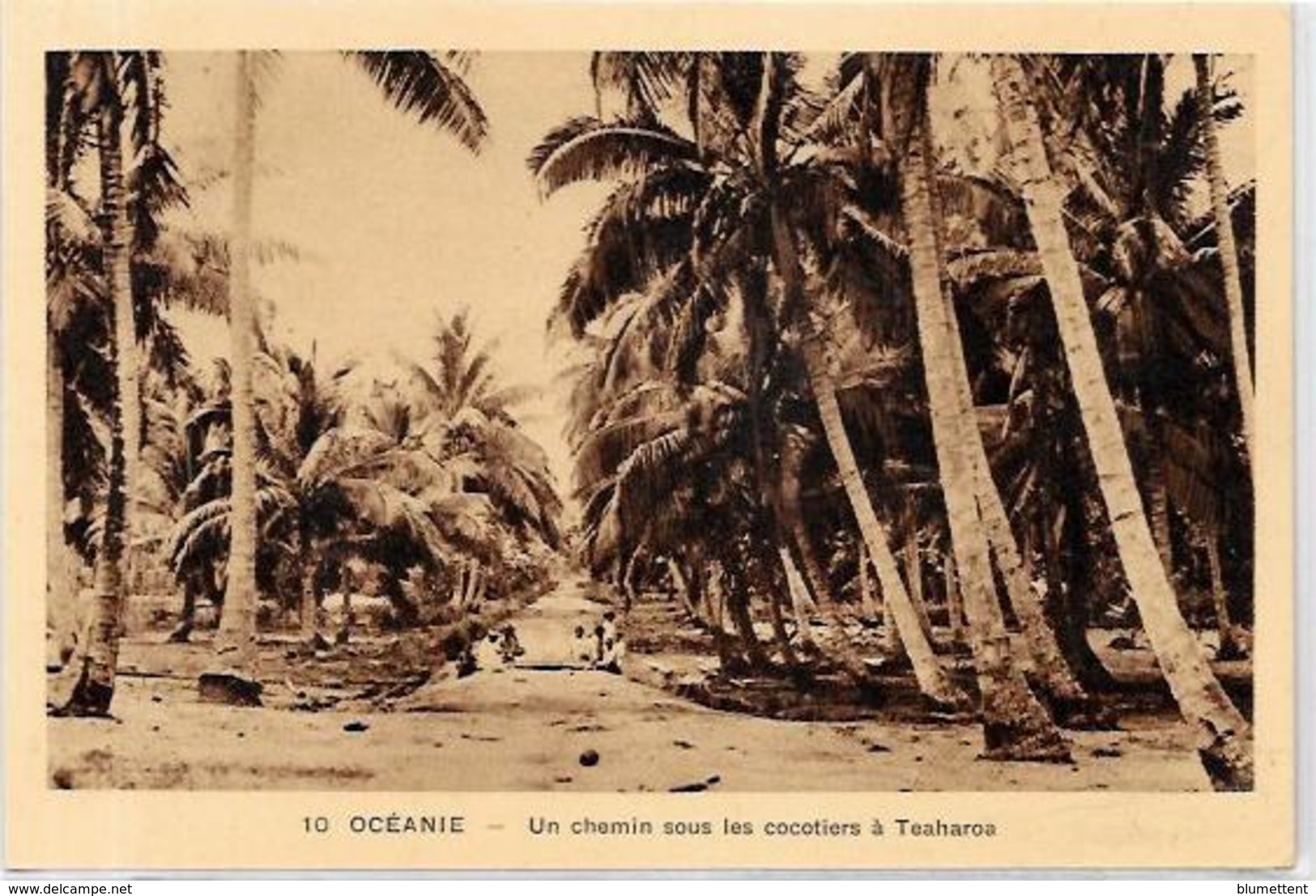 CPSM TAHITI Océanie Non Circulé Teaharoa - Tahiti