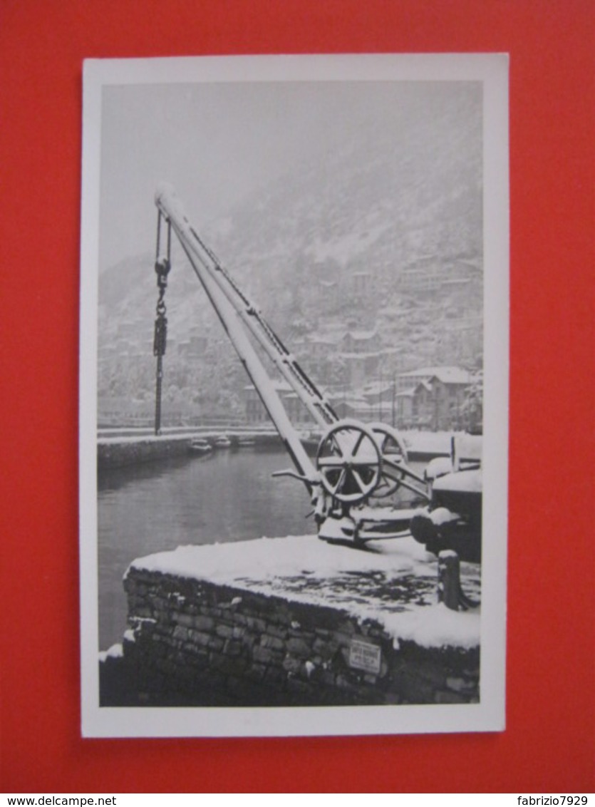 CA7 - ITALIA VG. 1920 CIRCA FOTO CARD PORTO GRU NEVE DIRITTO RISERVATO PESCA - Wassertürme & Windräder (Repeller)