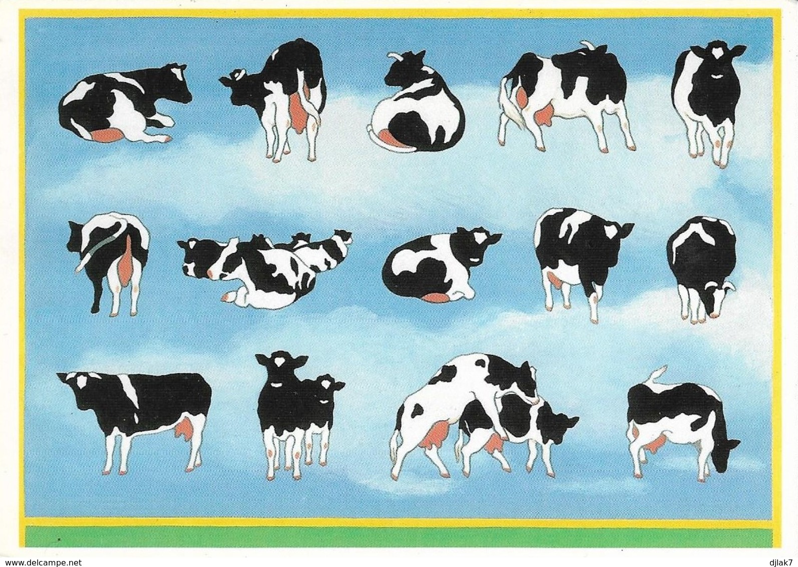 Vaches (2 Scans) - Vaches