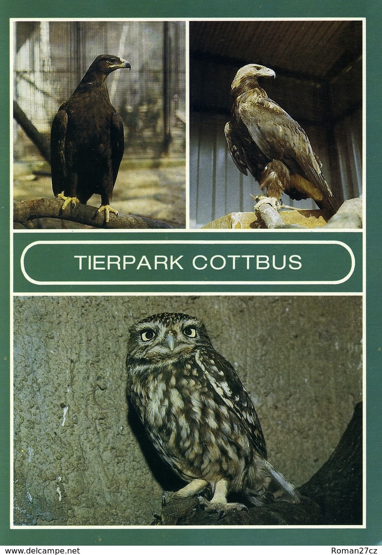 Tierpark Cottbus, Germany - Eagle, Owl - Cottbus