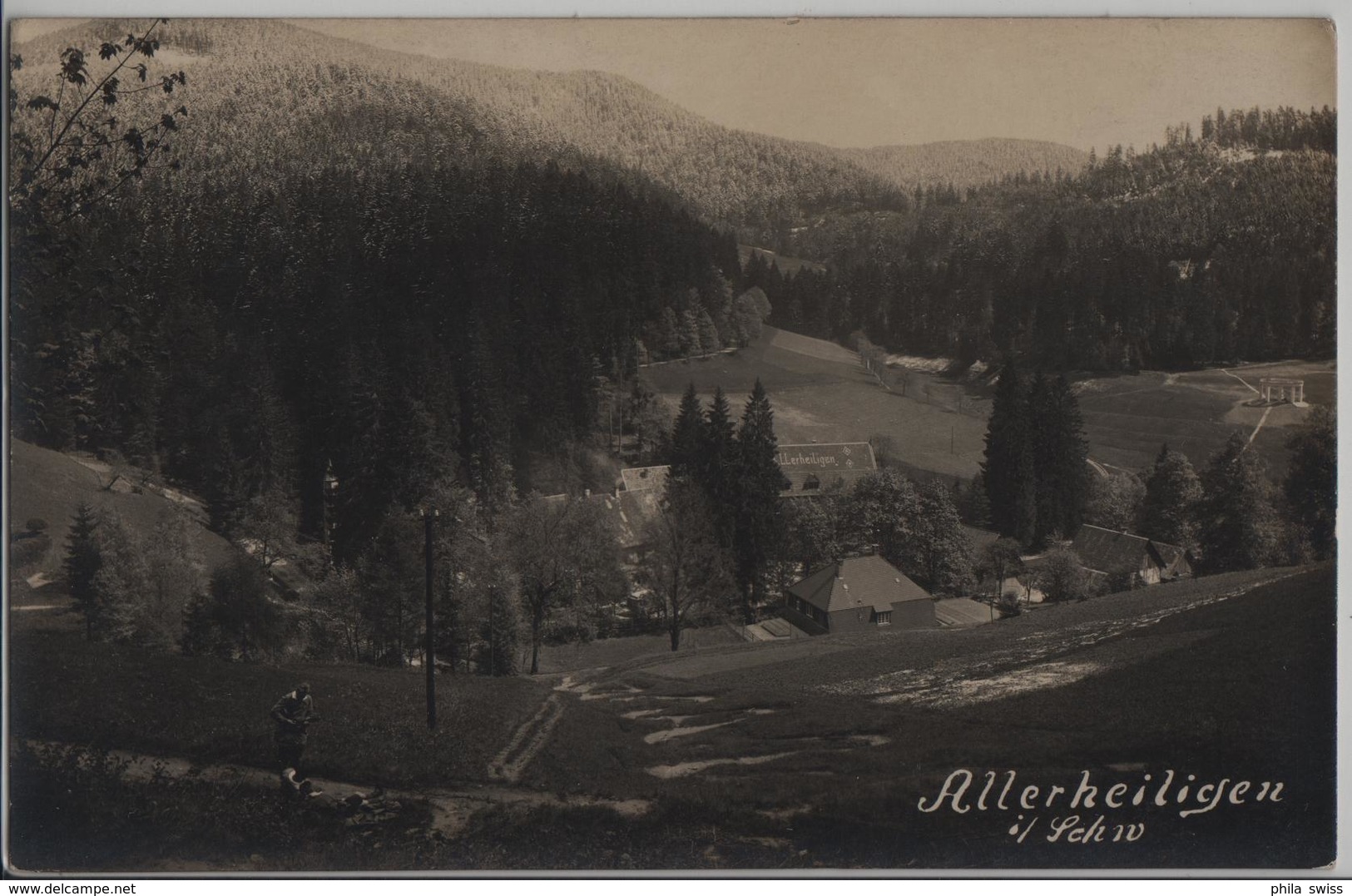 Allerheiligen Im Schwarzwald, Belebt - Oppenau