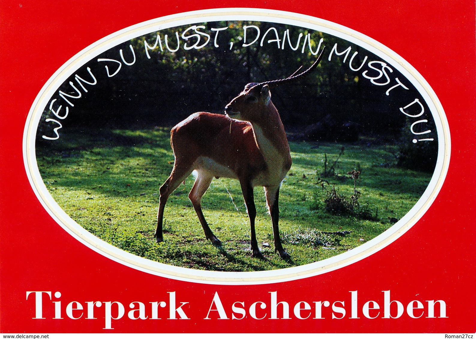 ZOO Aschersleben, Germany - Antelope - Aschersleben