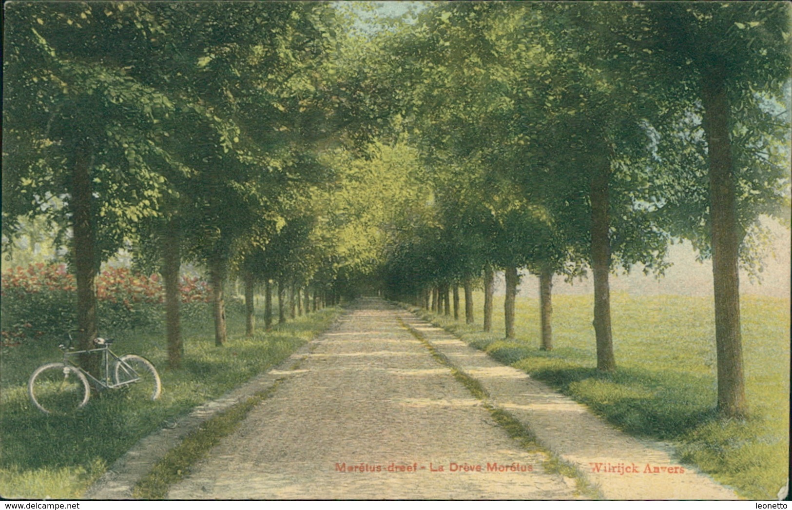 AK Wilrijk Wilrijck Anvers, Moretus Dreef - La Dreve Moretus, Fahrrad, Bicyclette, O 1905 (30527) - Antwerpen