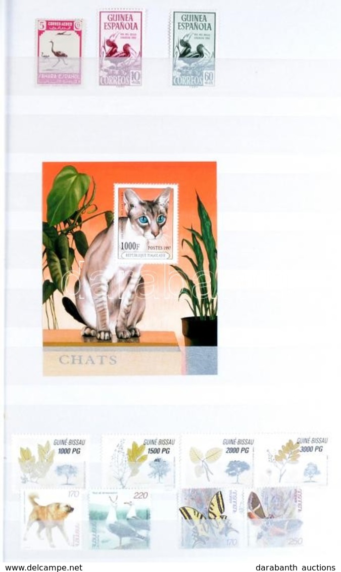 ** Állatok és Virágok F?leg Tengerentúli Gy?jtemény Maradvány Berakóban / Flora And Fauna Overseas Remainder Collection  - Autres & Non Classés