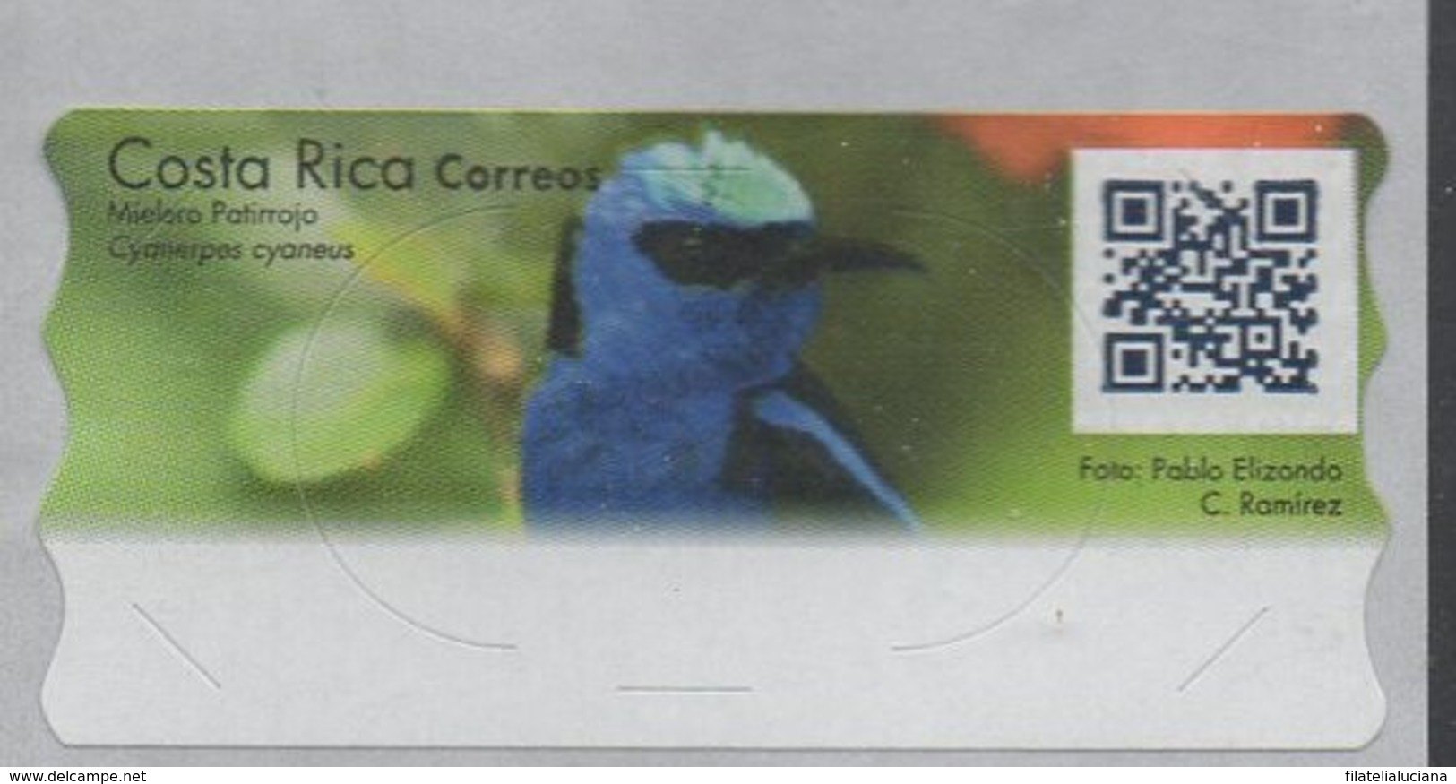 Costa Rica 2018 Bird,New Issue MNH Adhesive Stamps, ATM Labels - Songbirds & Tree Dwellers