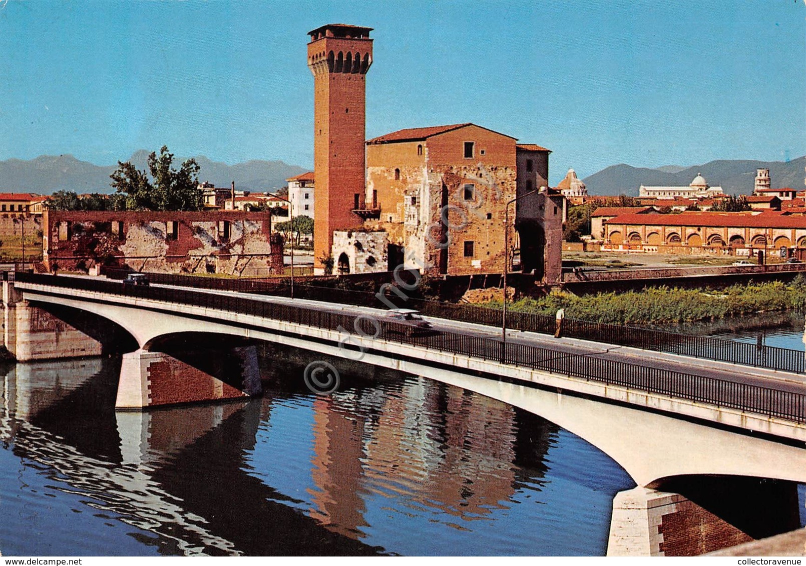 Cartolina Pisa Antica Cittadella Sul Lungarno 1980 - Pisa