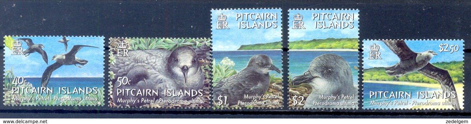 PITCAIRN ISLANDS (OCE 106) - Marine Web-footed Birds