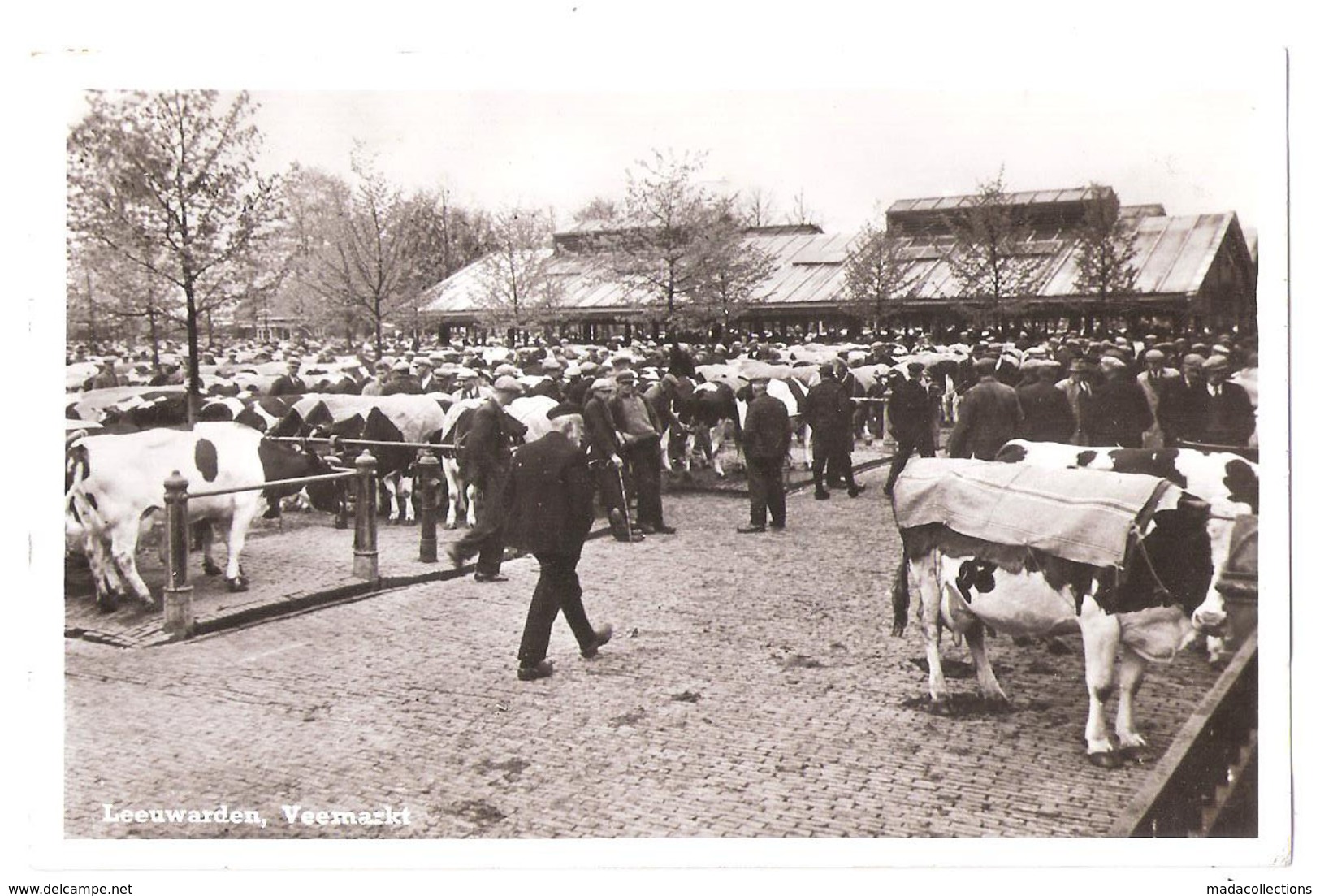 Leeuwarden (Pays Bas)  Marché Aux Bestiaux  , Veemarkt - Leeuwarden