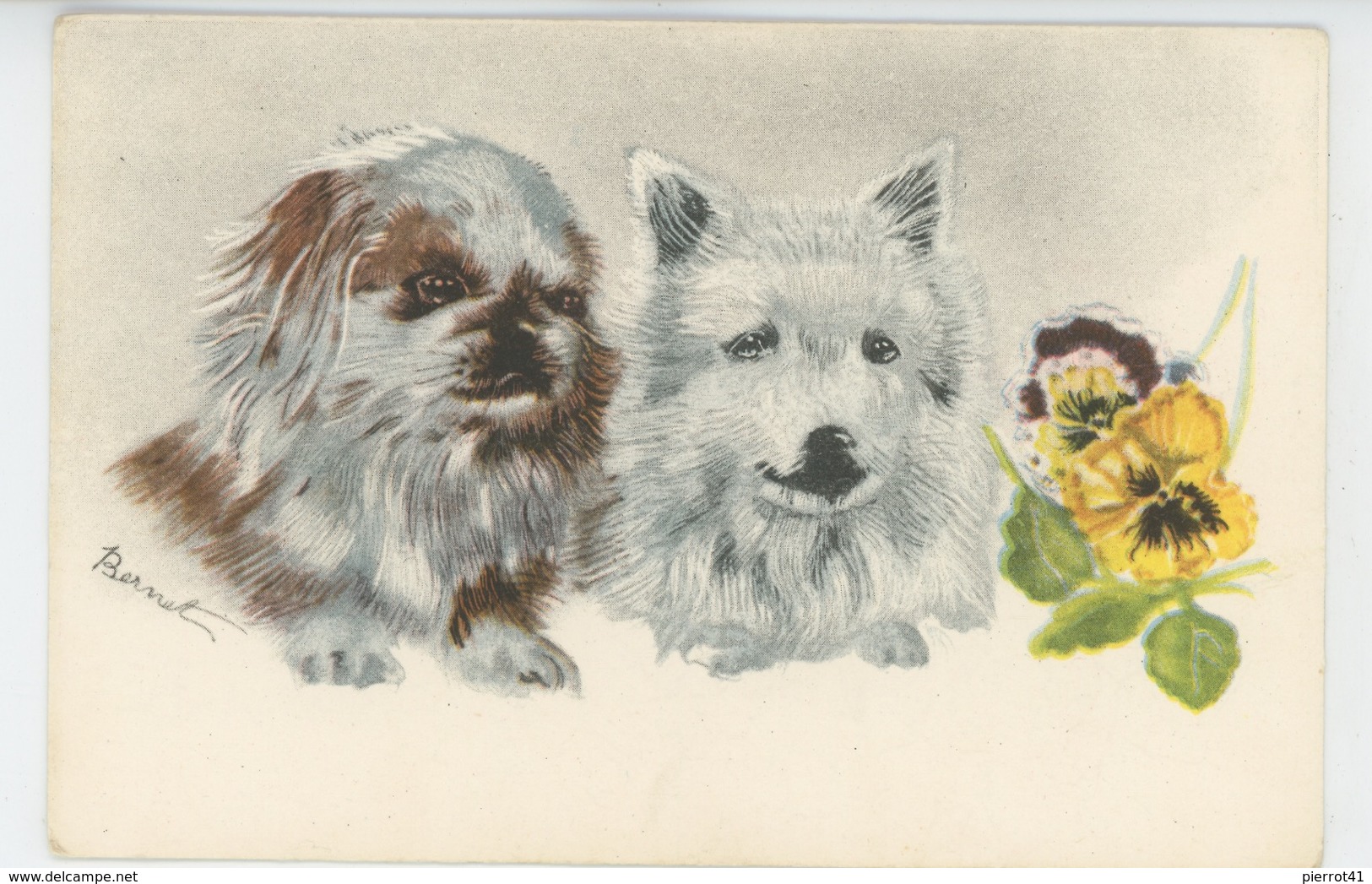 CHIENS - DOG - Jolie Carte Fantaisie Portrait Chiens Et Fleurs Signée BERNET - Cani