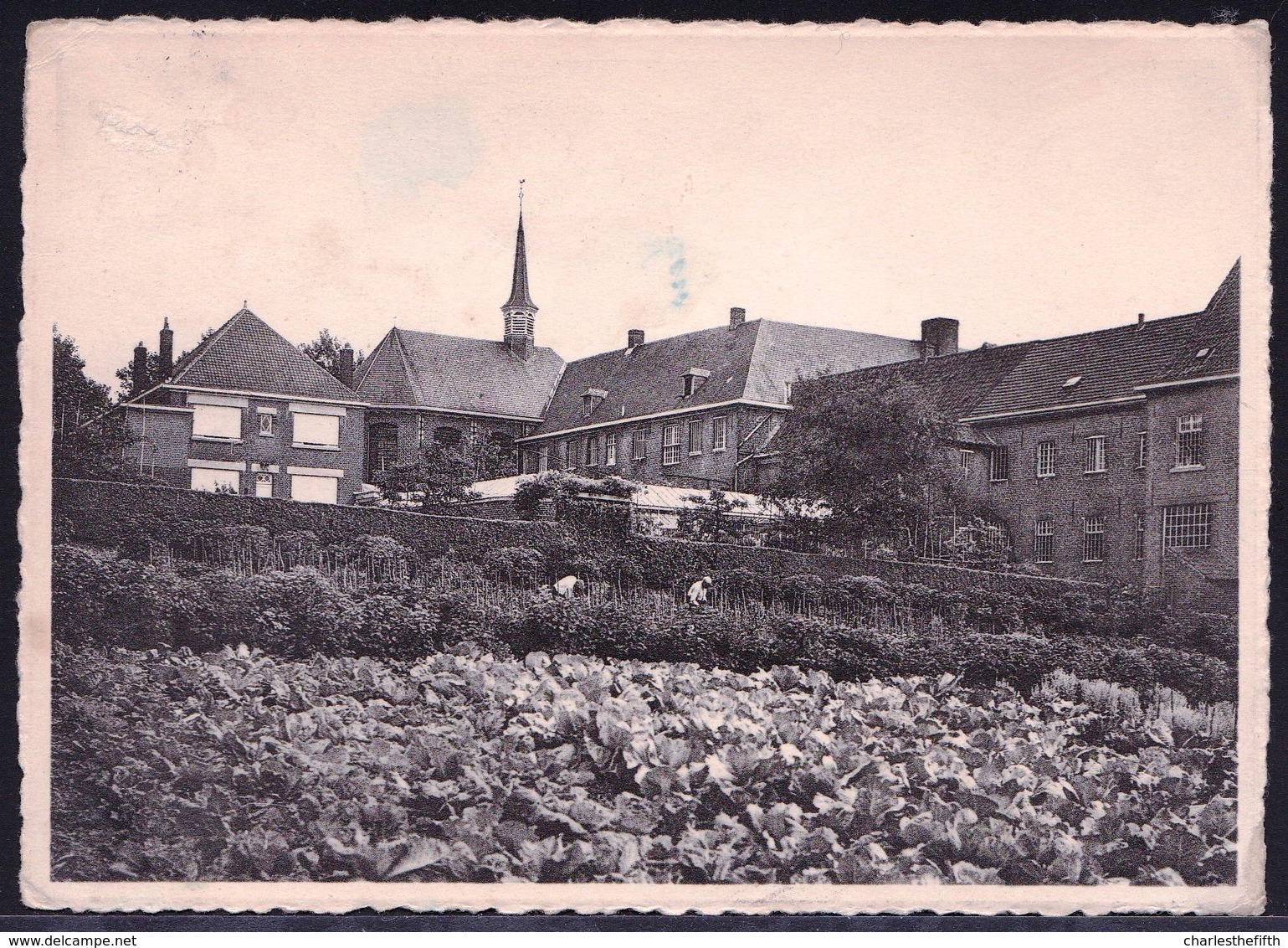 VELZEKE RUDDERSHOVE - GESTICHT ST- FRANCISCUS - Grauwzusters Penitenten - Noordkant - Zottegem