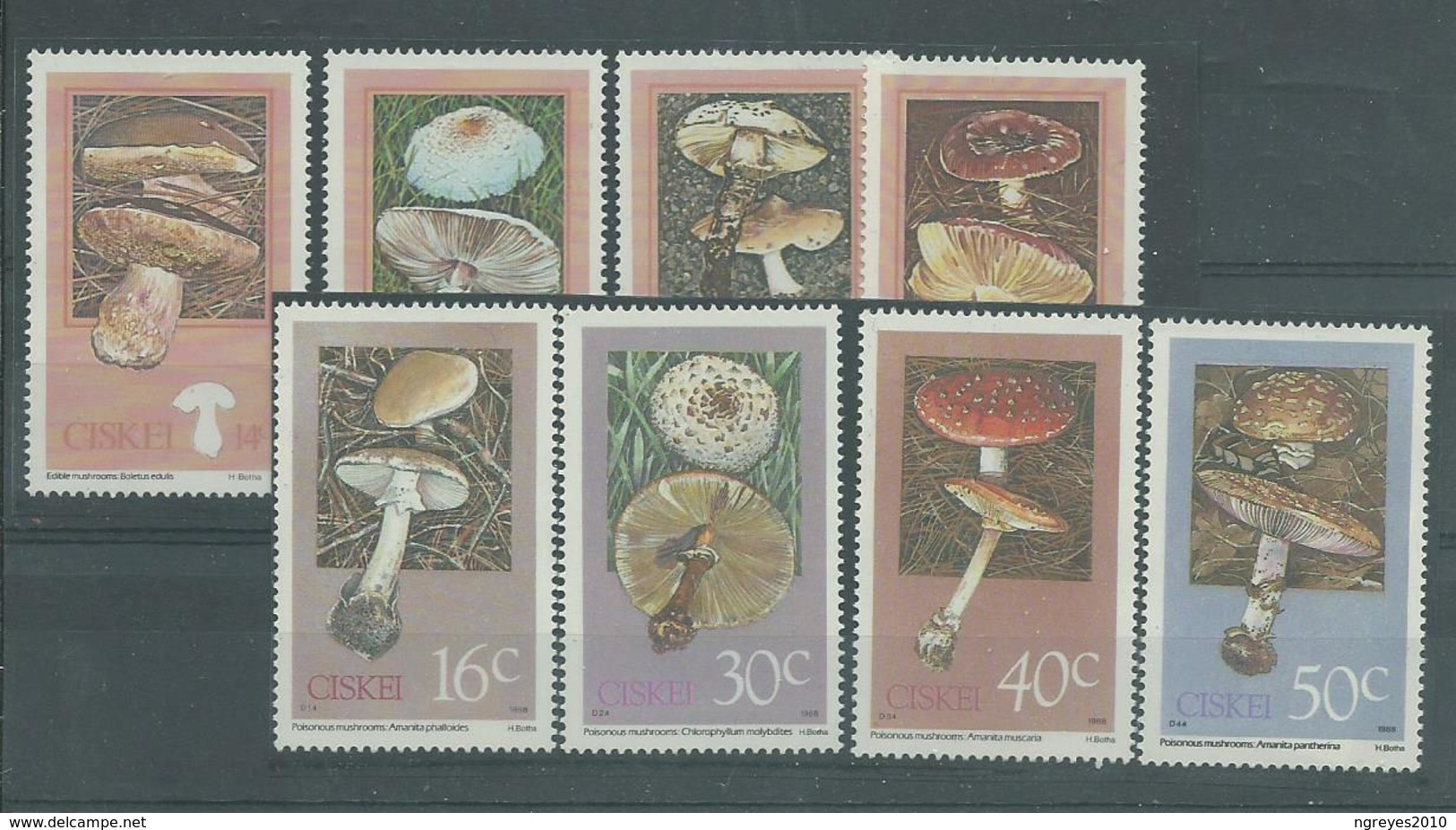 180028809   CISKEI  YVERT    Nº  145/8  **/MNH - Ciskei