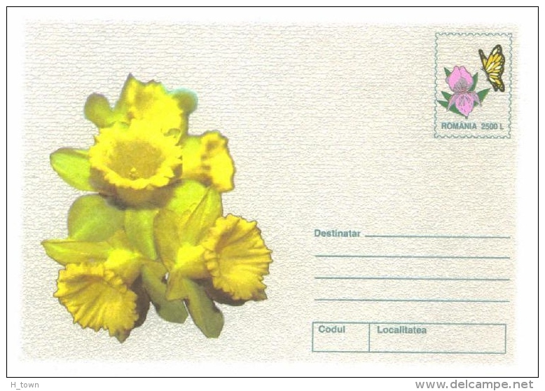 6178  Papillon, Narcisse Jaune, Fleurs: PAP 2002 - Wild Daffodil Flowers Stationery Cover, Butterfly On Imprinted Stamp - Mariposas