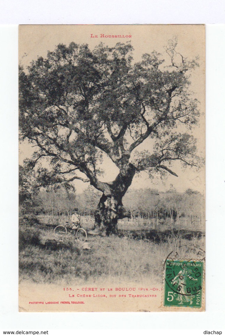 Céret Et Le Boulou. Pyrénées Orientales. Le Chêne Liège, Dit Des Trabucayres. Facteur Avec Vélo. (2908) - Ceret