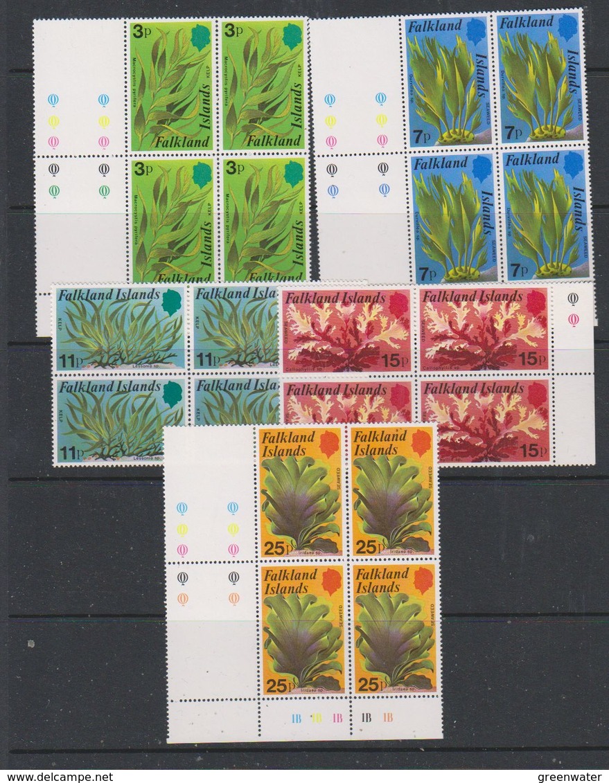 Falkland Islands 1979 Kelp/Seaweed 5v Bl Of 4  ** Mnh (38947) - Falklandeilanden