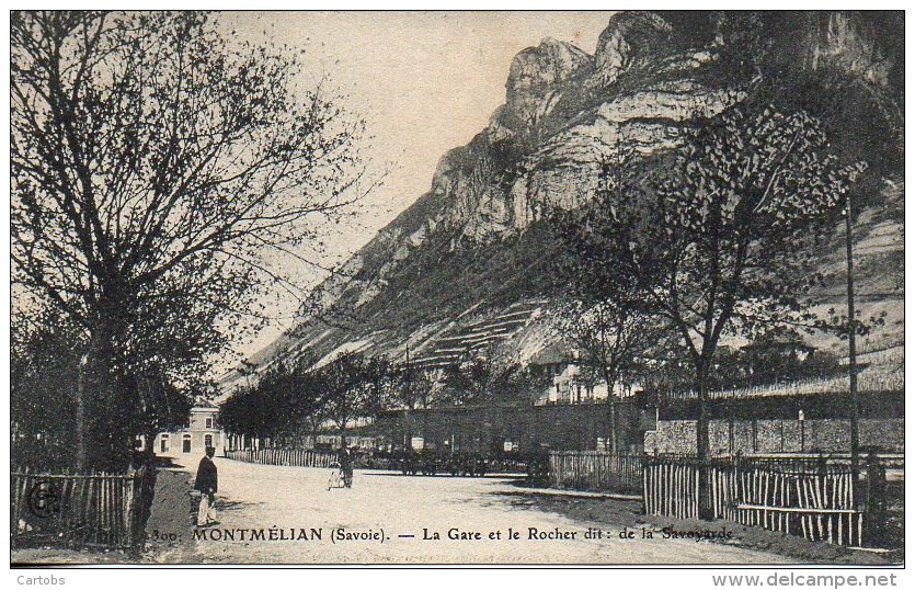 73 MONTMELIAN  La Gare Et Le Rocher Dit De La Savoyarde - Montmelian