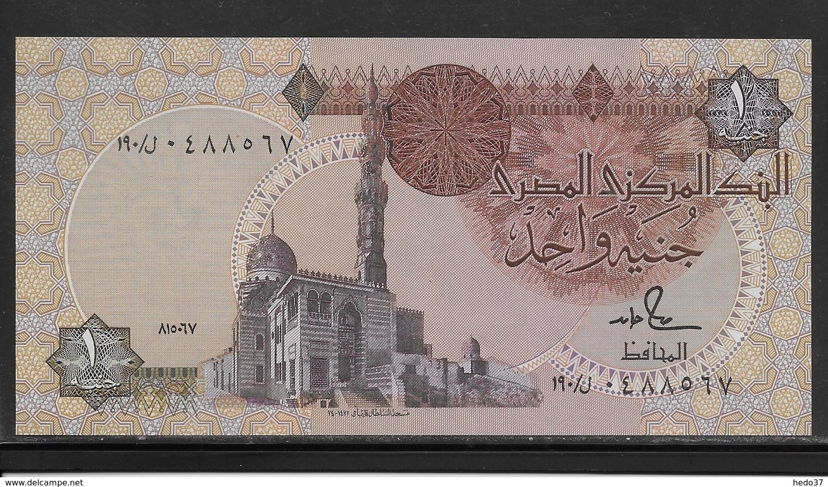 Egypte - 1 Pound - Pick N°50 D  - SPL - Egypt