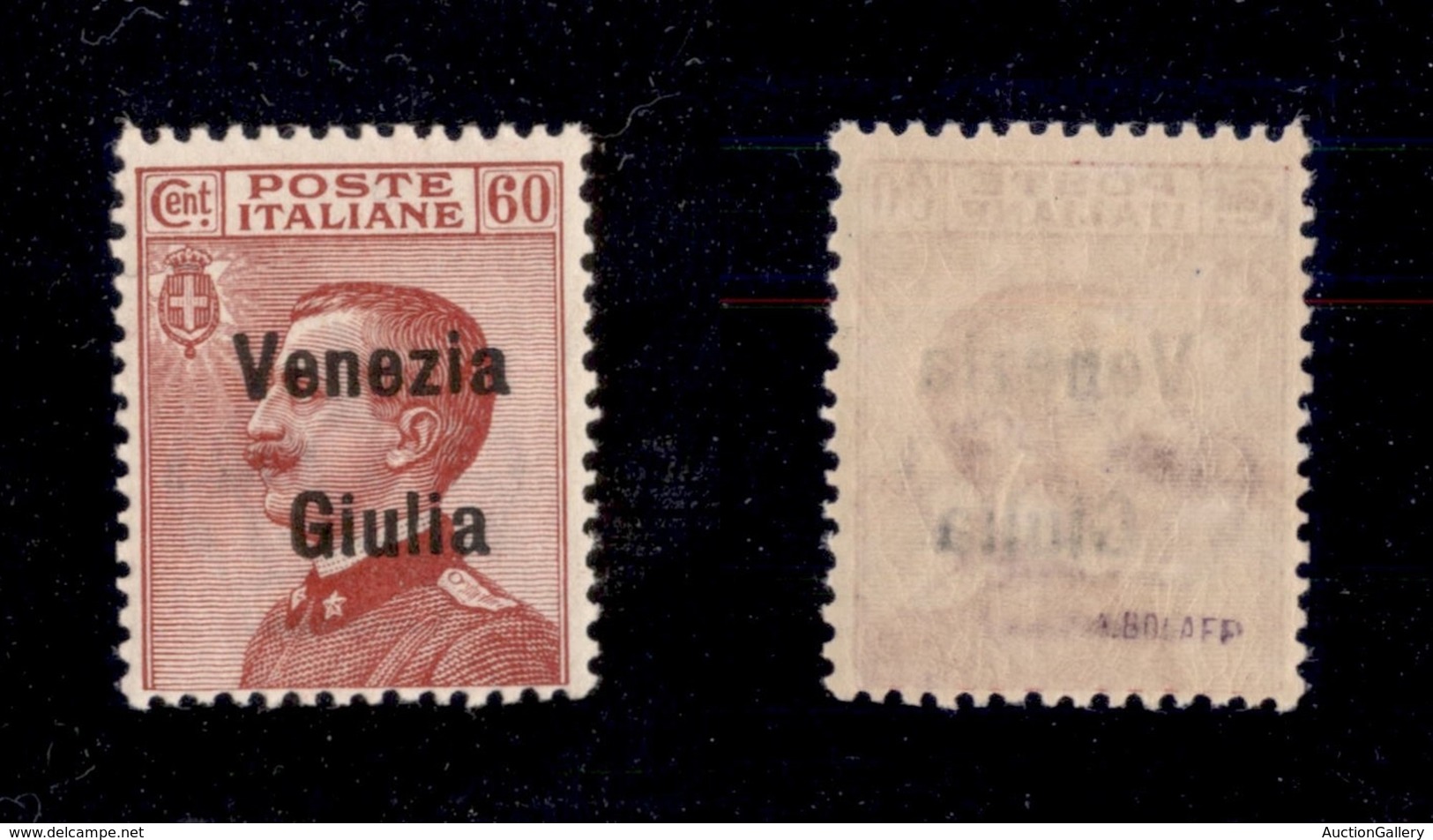 0448 OCCUPAZIONI - VENEZIA GIULIA - 1918 - 60 Cent (28) - Gomma Integra (600) - Other & Unclassified