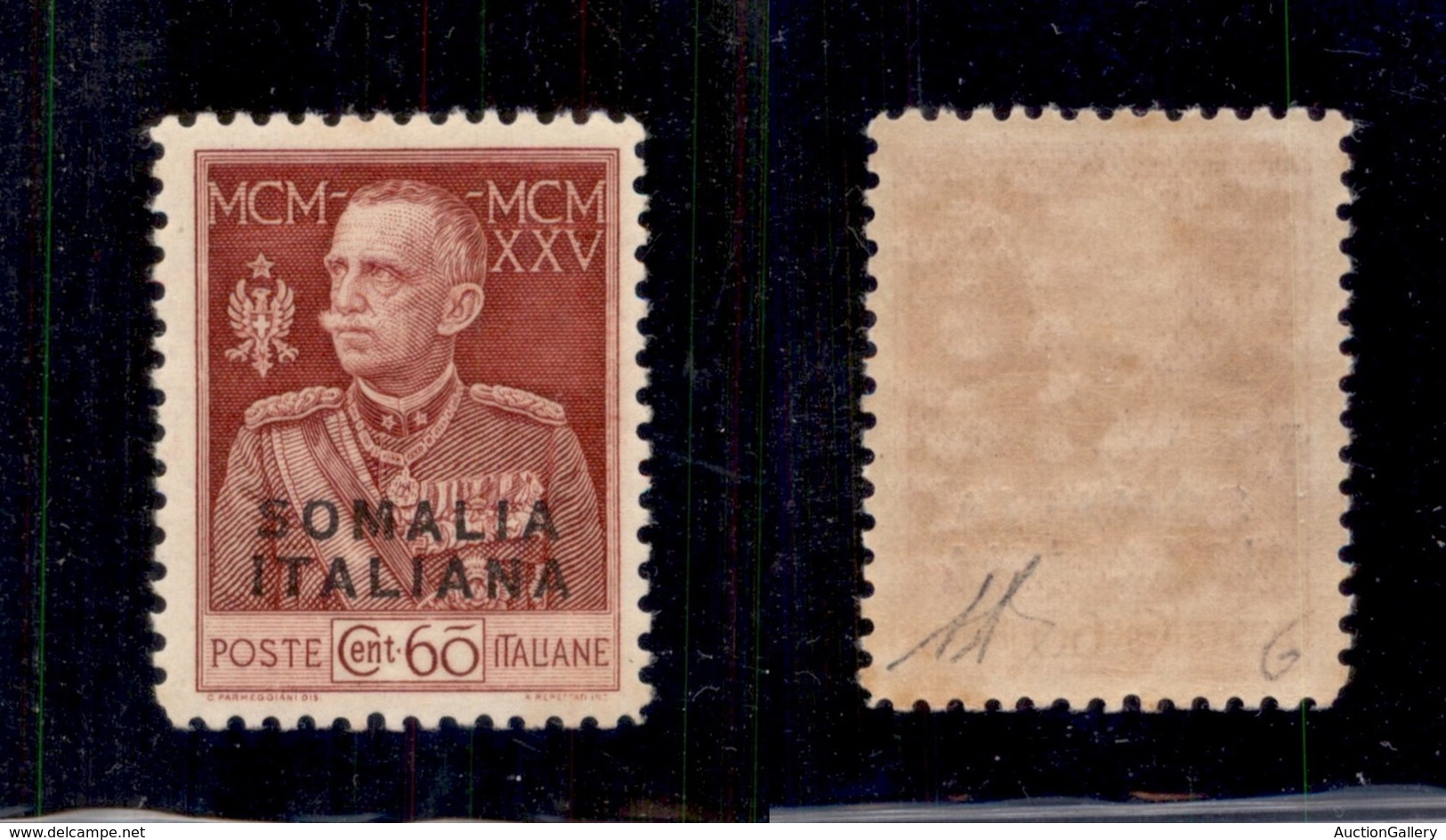 0599 COLONIE ITALIANE - SOMALIA - 1925 - 60 Cent Giubileo (671) Dentellato 11 - Gomma Integra - Diena (750) - Autres & Non Classés