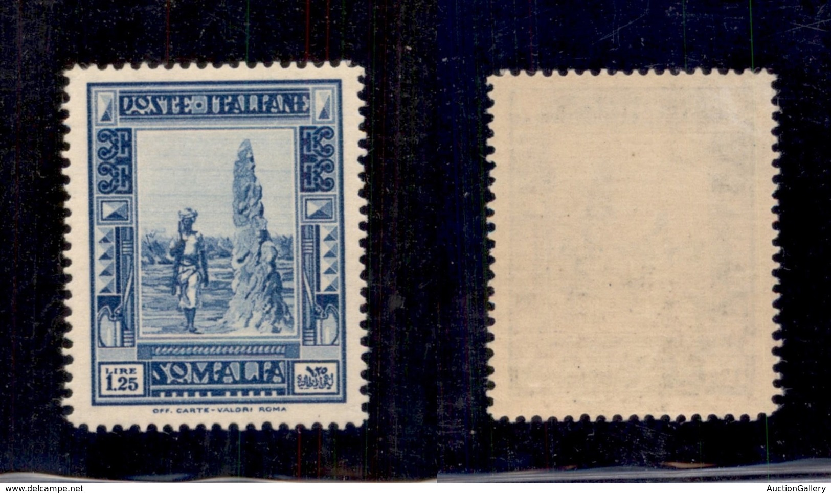 0608 COLONIE ITALIANE - SOMALIA - 1935 - 1,25 Lire Pittorica (223) - Gomma Integra - Ottimamente Centrato - Molto Bello  - Autres & Non Classés