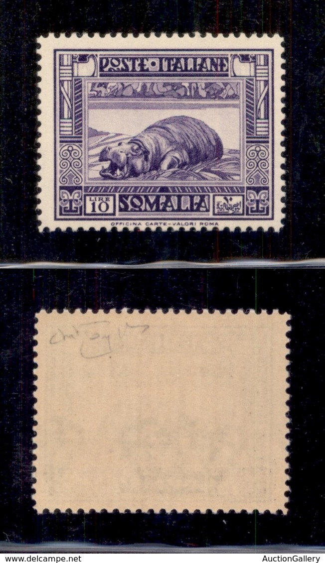 0610 COLONIE ITALIANE - SOMALIA - 1937 - 10 Lire Pittorica (228) - Gomma Integra - Raybaudi (1.375) - Autres & Non Classés