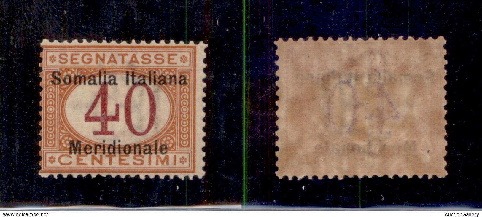 0618 COLONIE ITALIANE - SOMALIA - 1906 - 40 Cent (5-Segnatasse) - Gomma Integra (1.000) - Autres & Non Classés