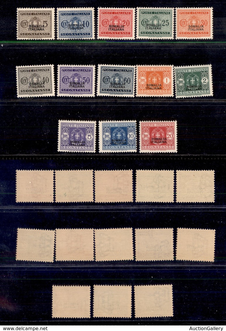 0620 COLONIE ITALIANE - SOMALIA - 1934 - Segnatasse (52/64) - Serie Completa - Gomma Integra (1.000) - Autres & Non Classés