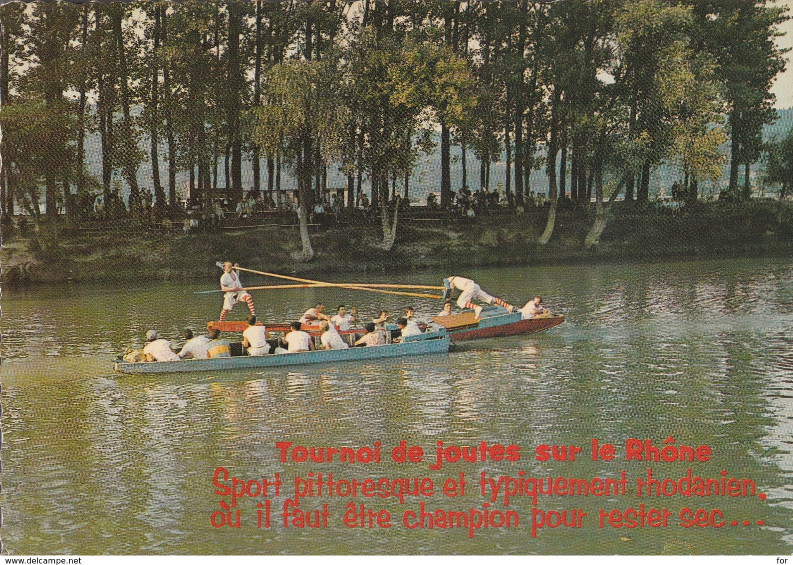 Sports : Joutes : Tournoi De Joutes Sur Le Rhone - Rowing