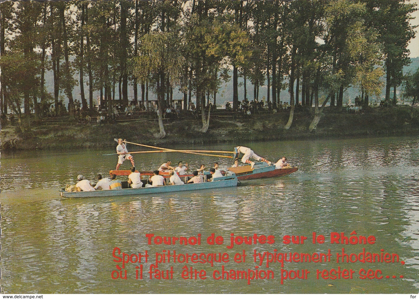 Sports : Joutes : Tournoi De Joutes Sur Le Rhone - Aviron