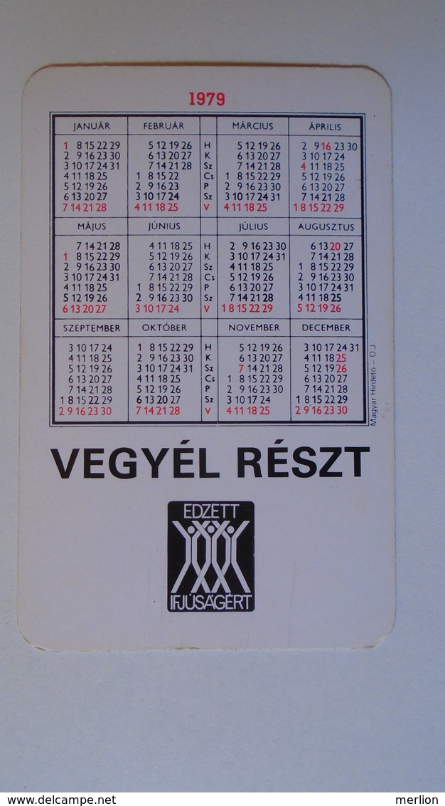 AV451.32 Tennis -Taróczi Balázs -   Calendrier De Poche - Hongrie - Pocket Calendar  -Hungary 1979 - Small : 1971-80