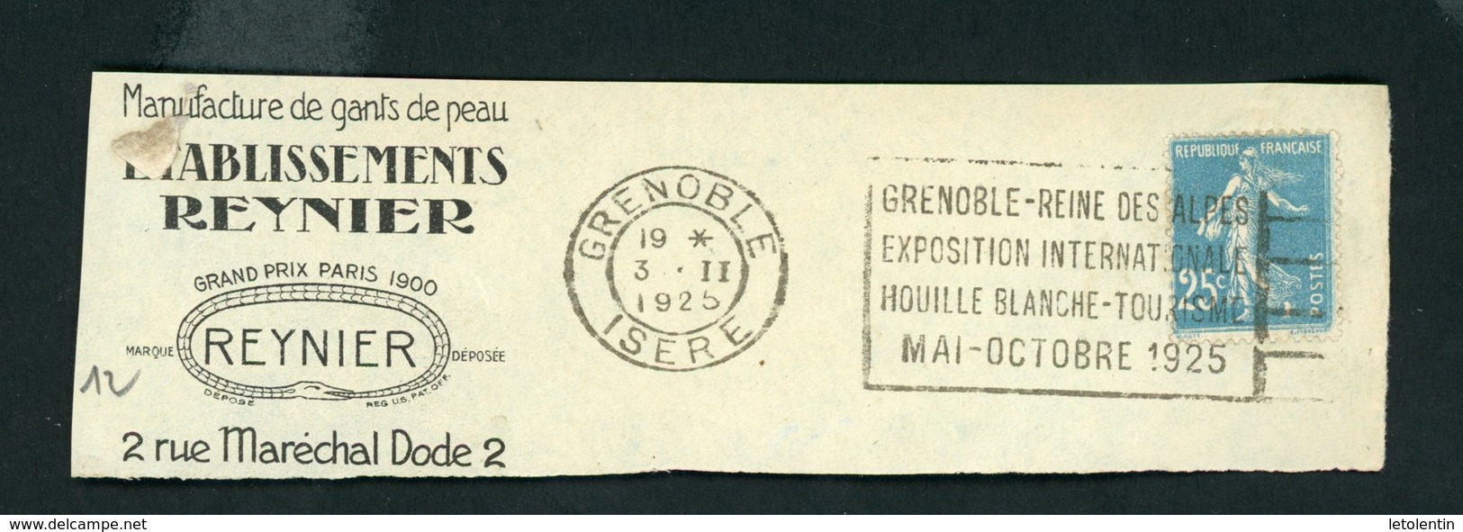 FLAMME "GRENOBLE - REINE DES ALPES EXPOSITION INTERNATIONALE HOUILLE BLANCHE - TOURISME MAI-OCTOBRE 1925" DE GRENOBLE 1 - Sellados Mecánicos (Publicitario)