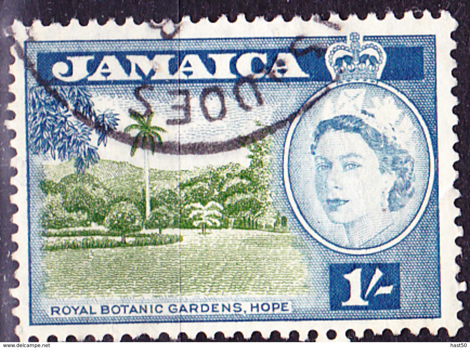 Jamaika - Botanischer Garten, Hope (MiNr: 170) 1956 - Gest Used Obl - Jamaica (...-1961)