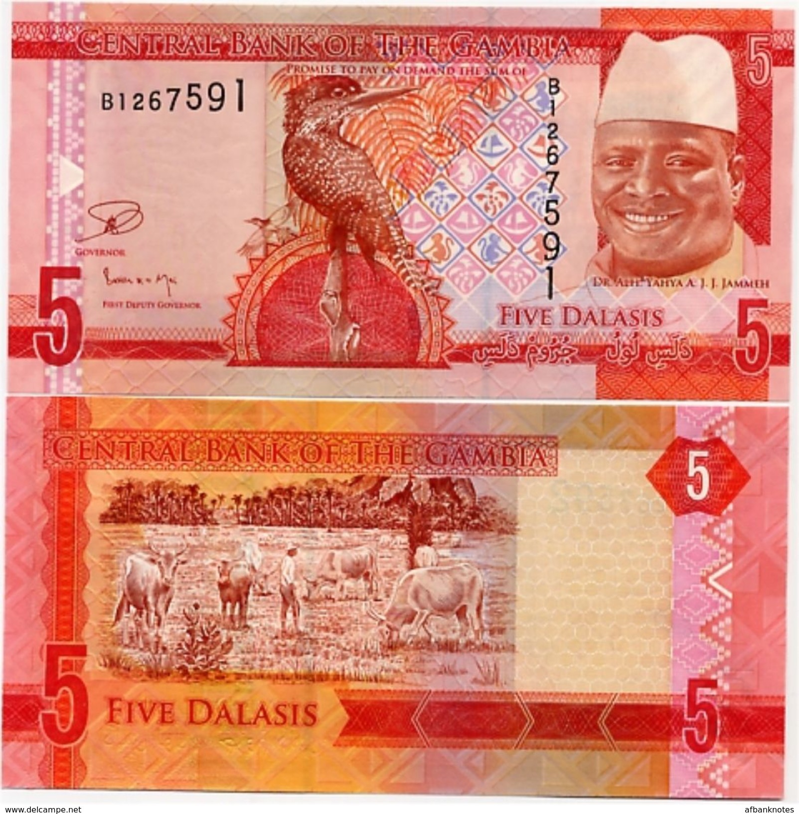 GAMBIA       5 Dalasis       P-31       ND (2015)       UNC - Gambia