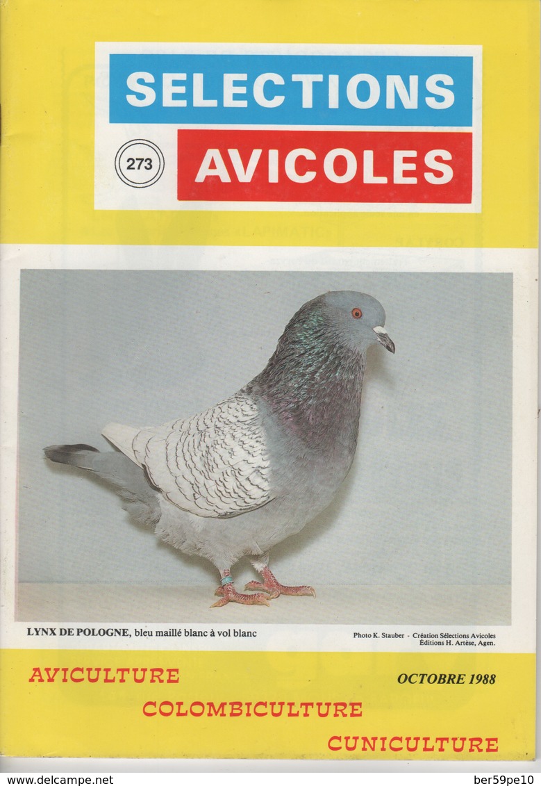 SELECTIONS AVICOLES AVICULTURE COLOMBICULTURE CUNICULTURE OCTOBRE 1988 N° 273 - Animals