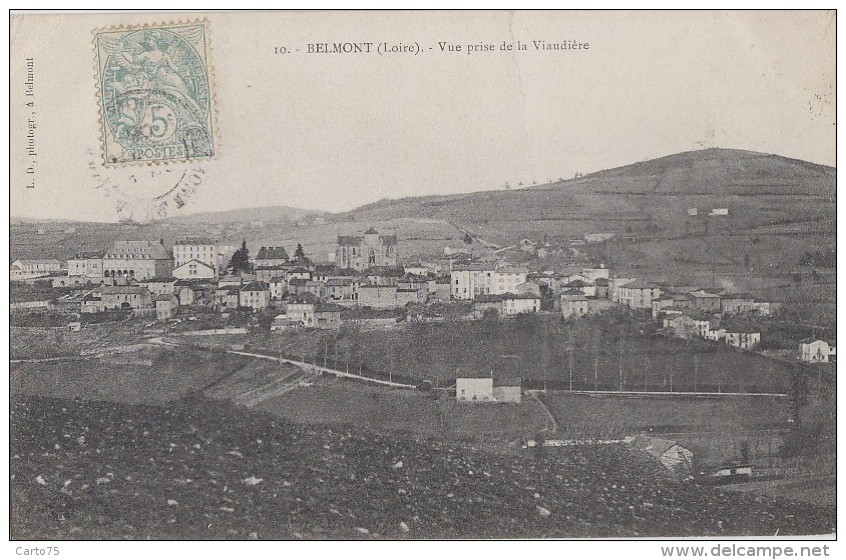 Belmont 42 - Vue Générale Prise De La Viaudière - 1906 - Belmont De La Loire