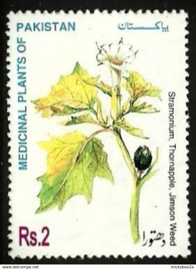 PAKISTAN 1997 MEDICINAL PLANTS THORNAPPLE SET MNH - Pakistan