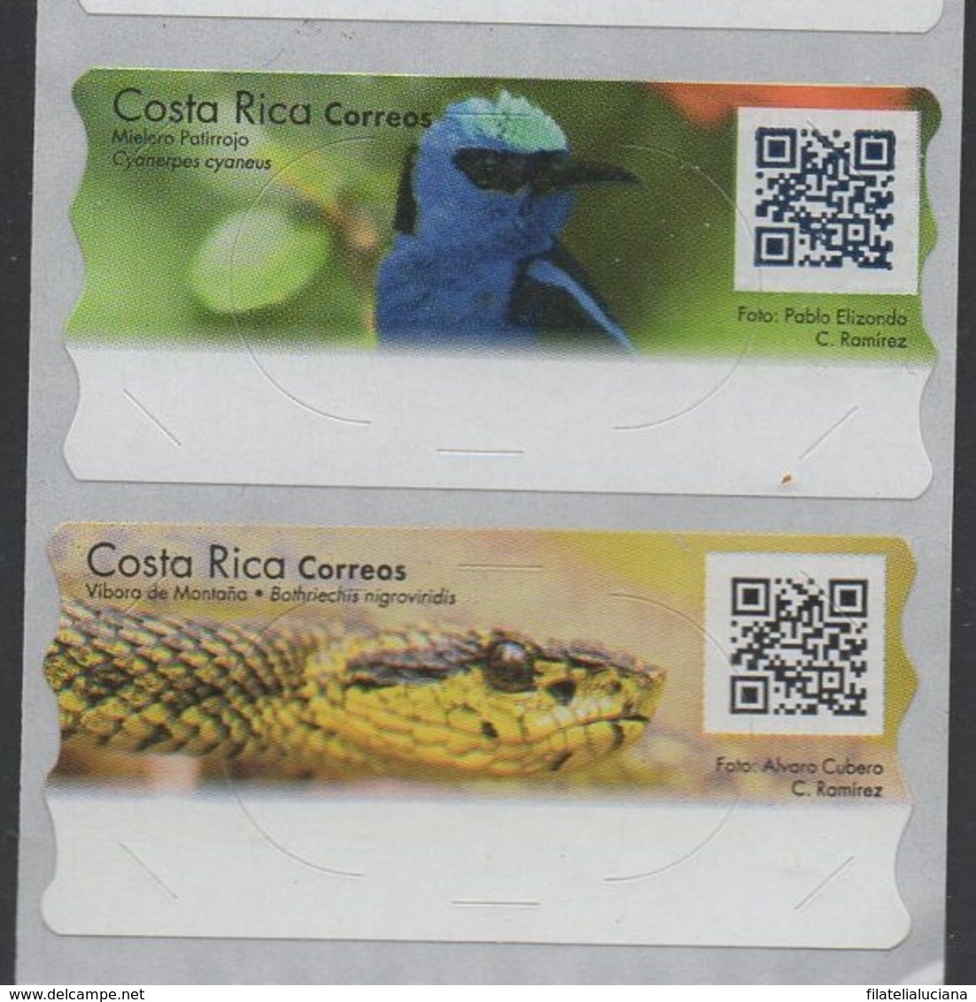 Costa Rica ATM Adhesive Stamps Snake And Bird - Arends & Roofvogels