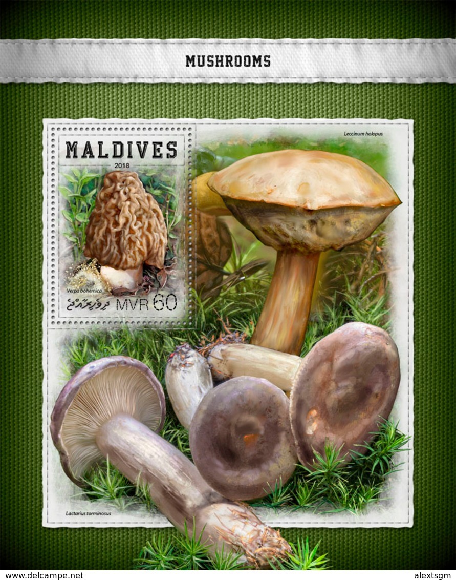 MALDIVES 2018 - Mushrooms. S/S Official Issue - Funghi