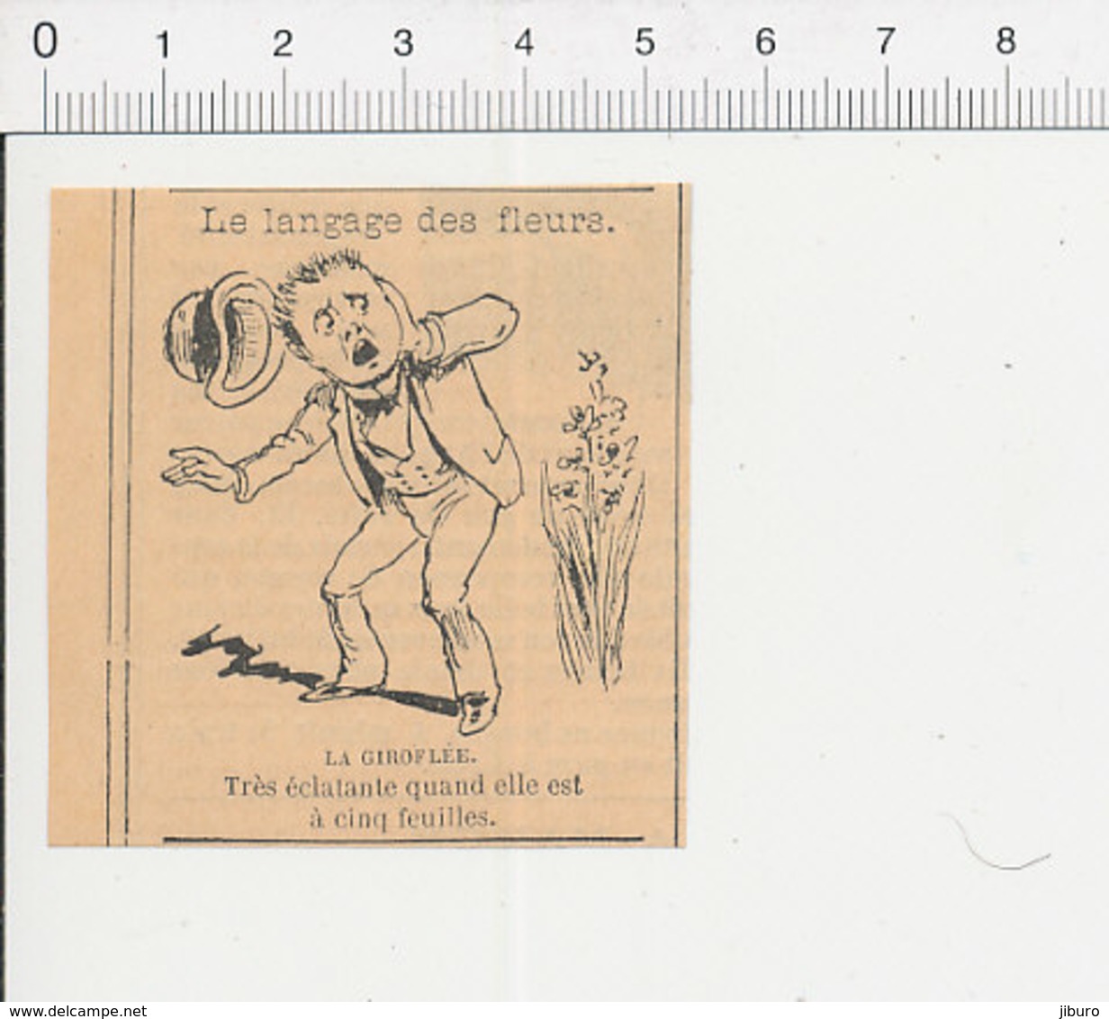 Humour 1898 La Giroflée à Cinq Feuilles Langage Des Fleurs Plante Gifle Main Marque Des Cinq Doigts Expression 51C19 - Unclassified