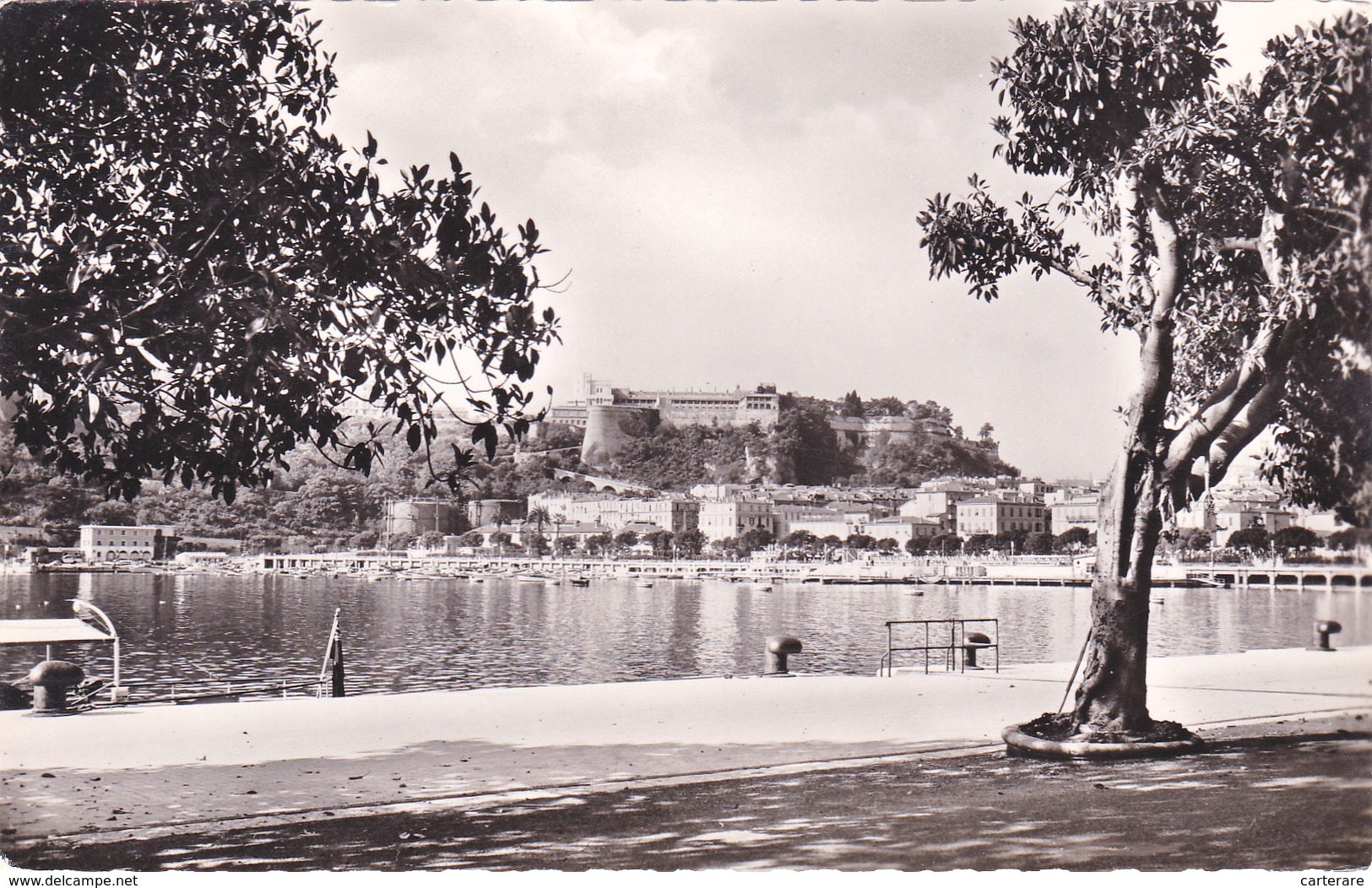 MONACO,DYNASTIE DES GRIMALDI,MONTE CARLO,IL Y A 60 ANS,PORT,MATIN TOT,DESERT,PALAIS,PHOTO Erdé - Monte-Carlo