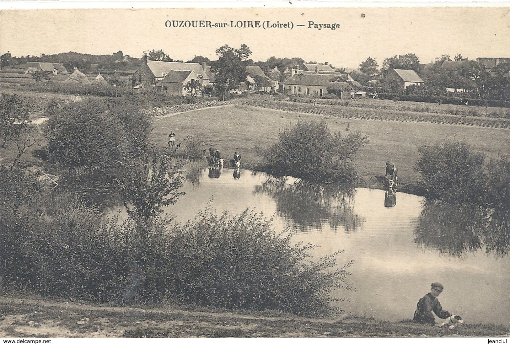 OUZOUER-SUR-LOIRE . PAYSAGE + 1 GARCON ET SON CHIEN ET 3 VACHES S'ABREUVANT DANS LA RIVIERE . AFFR AU VERSO . 2 SCANES - Ouzouer Sur Loire