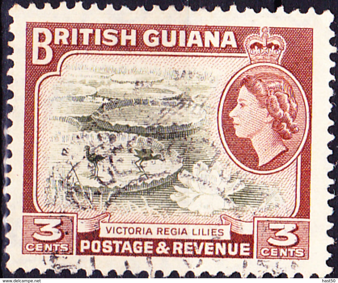 Britisch-Guayana - Riesenseerose (Victoria Amazonica), Lappenjacana (Jacana Spinosa Jac (MiNr: 201) 1954 - Gest Used Obl - British Guiana (...-1966)