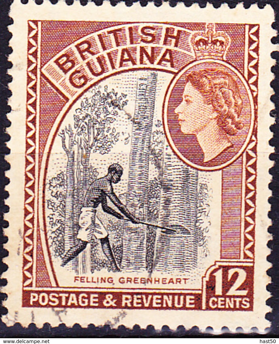 Britisch-Guayana - Baumfäller (MiNr: 206) 1954 - Gest Used Obl - British Guiana (...-1966)
