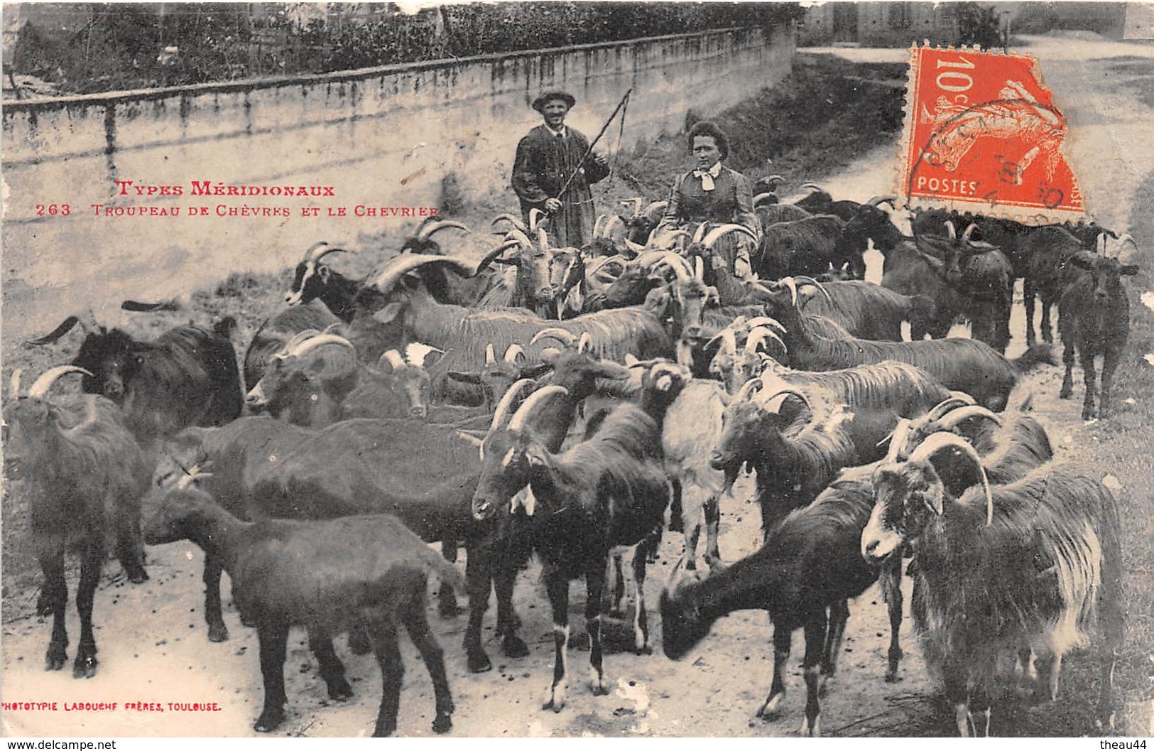 ¤¤   -   Types Méridionaux  -    Troupeau De Chèvres Et Le Chevrier    -   ¤¤ - Campesinos